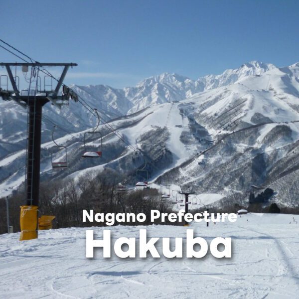 Sub Image 3