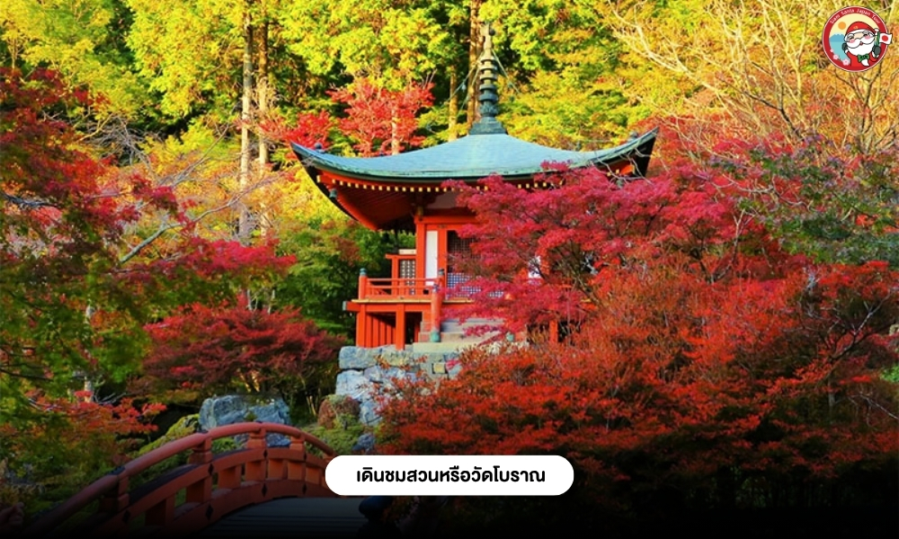Sub Image 10