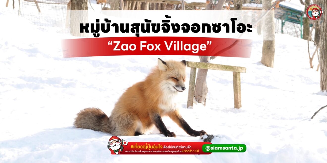 หมู่บ้านสุนัขจิ้งจอกซาโอะ Zao Fox Village