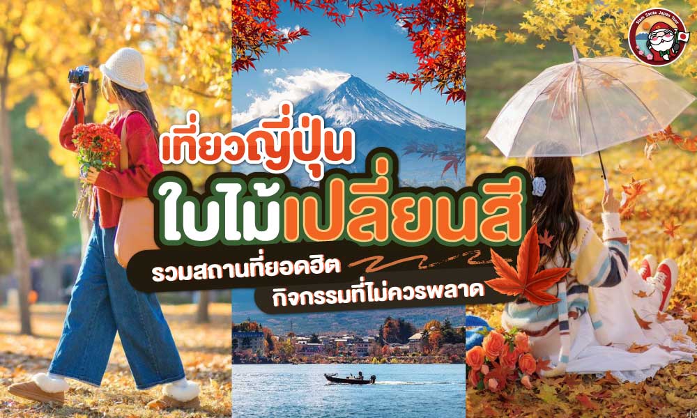 รูปบทความหลัก