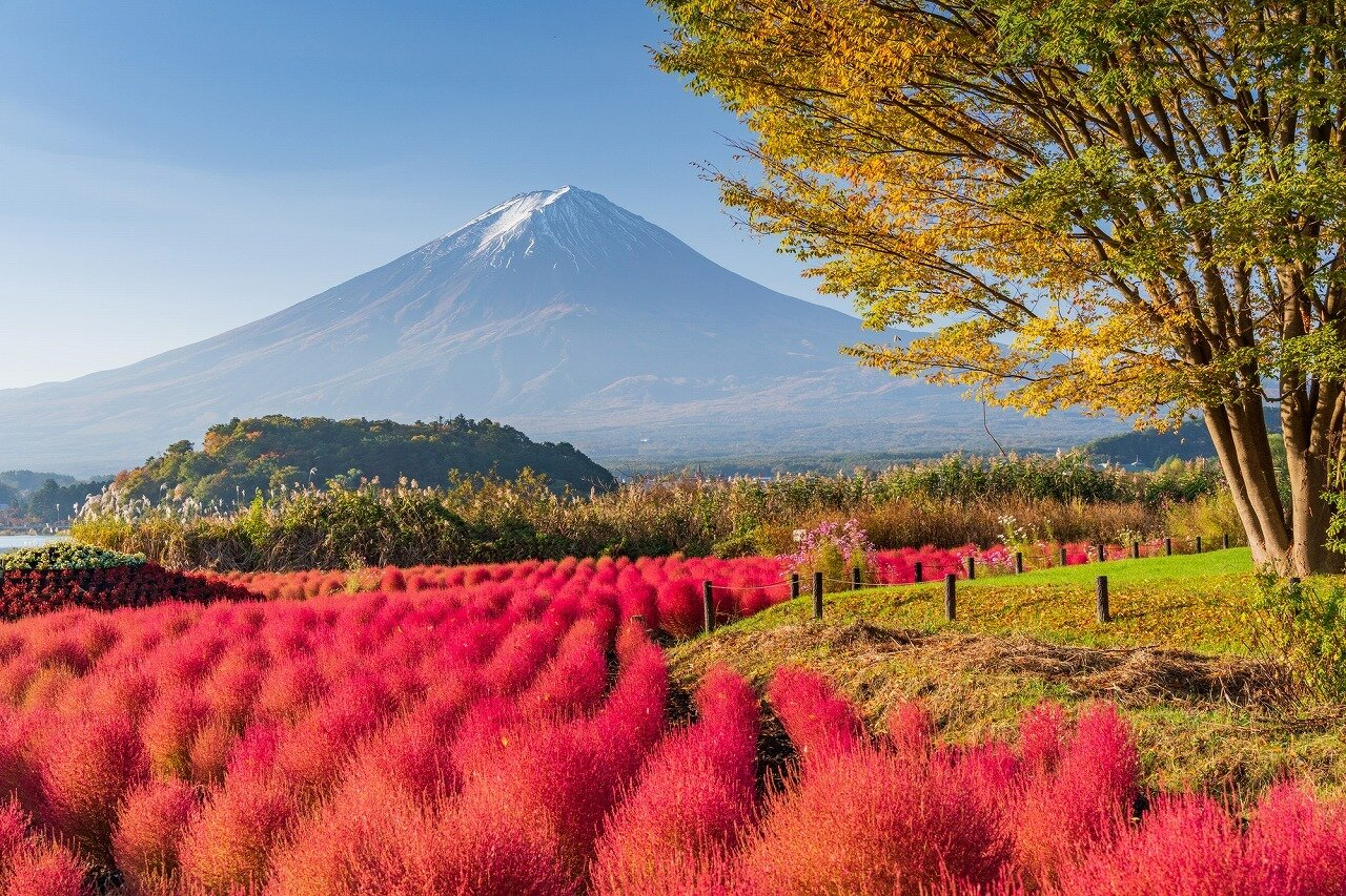 สวนโออิชิปาร์ค